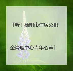 听！衡阳市住房公积金管理中心青年心声